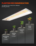 2024 Newest Version Spider Farmer® SF300 33W LED Seedling Grow Light